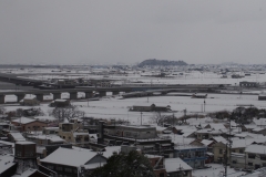 日奈久_190217_0001