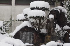 日奈久_190217_0005