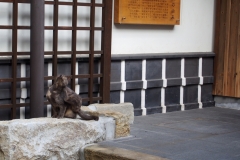 日奈久_190217_0009