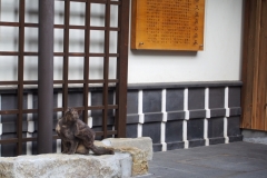 日奈久_190217_0015