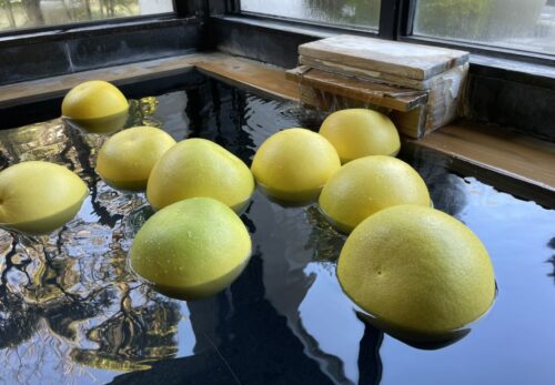 日奈久温泉「晩白柚風呂」が始まりました。